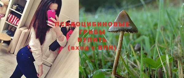 эйфоретик Алексеевка