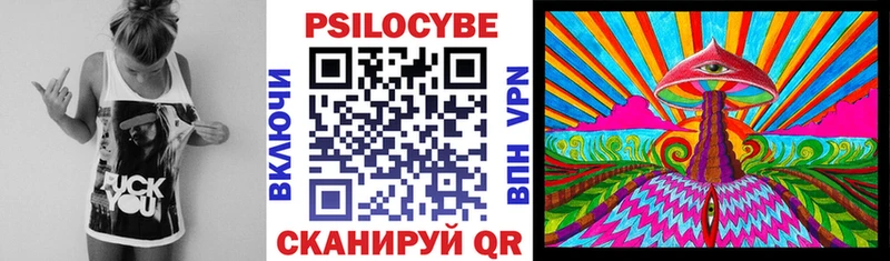 Псилоцибиновые грибы мухоморы Новозыбков